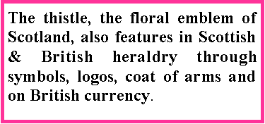 Text Box: The thistle, the floral emblem of Scotland, also features in Scottish & British heraldry through symbols, logos, coat of arms and on British currency.