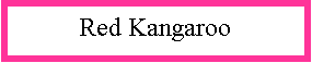 Text Box: Red Kangaroo