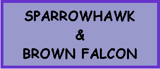 Text Box: SPARROWHAWK&BROWN FALCON